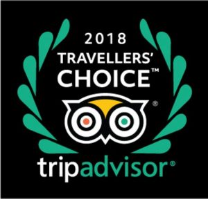 travellers-choice-award
